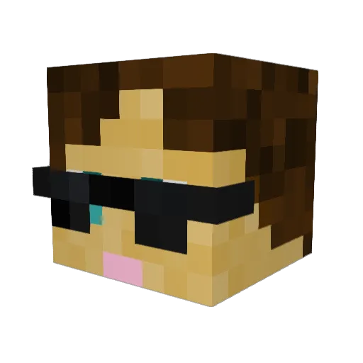 Facepaint870 Minecraft avatar head, 3D render