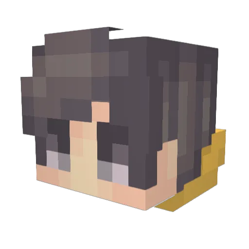 Fachphilosoph Minecraft avatar head, 3D render