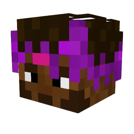 FacilYT Minecraft avatar head, 3D render