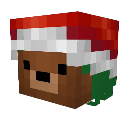 Facilee Minecraft avatar head, 3D render