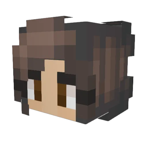 FacilityJenko Minecraft avatar head, 3D render