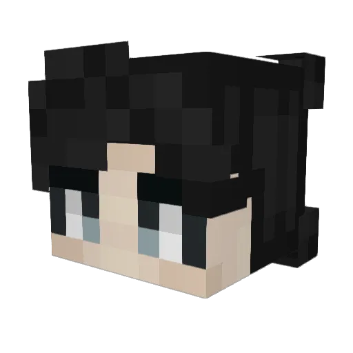 FactionsRyan Minecraft avatar head, 3D render