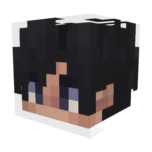 Facts01 Minecraft avatar head, 3D render
