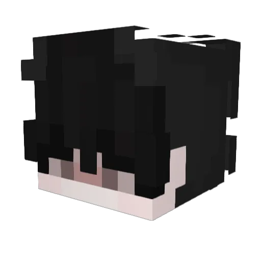 Facupay_ Minecraft avatar head, 3D render