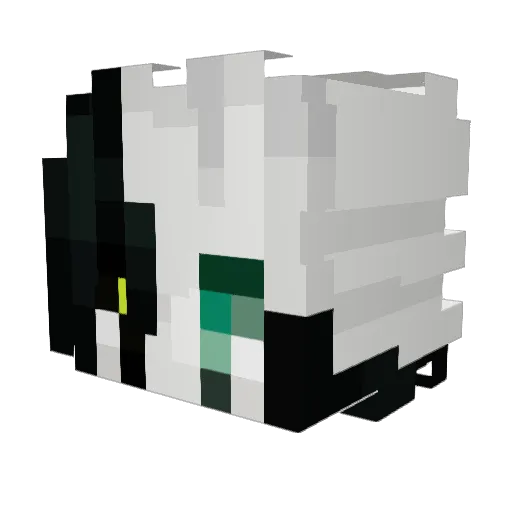 Fad1ng__Mist Minecraft avatar head, 3D render