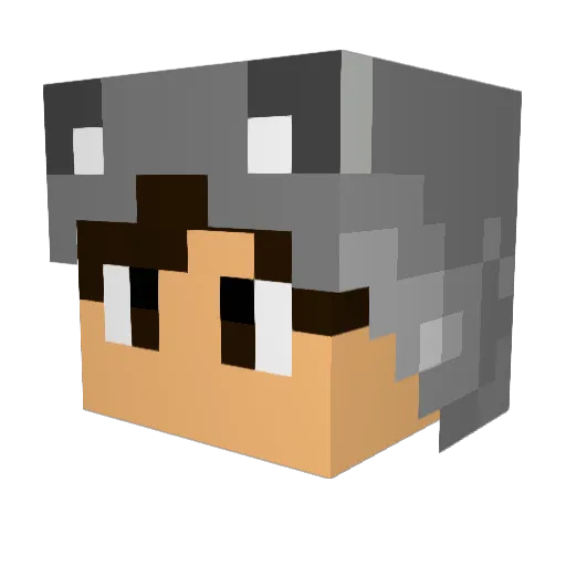 FadX Minecraft avatar head, 3D render