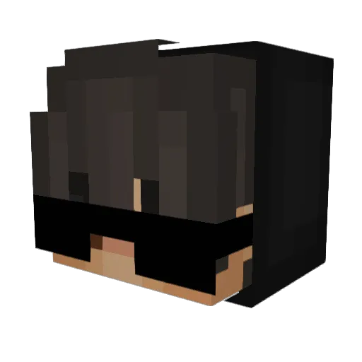 Fadanelli11 Minecraft avatar head, 3D render