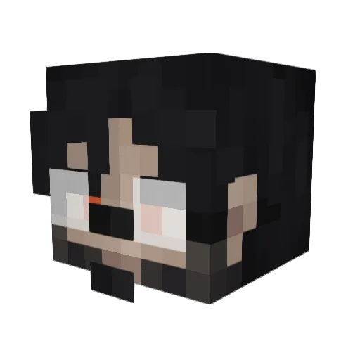 Minecraft-Avatar von FadedDragon999: Kopf als 3D-Render