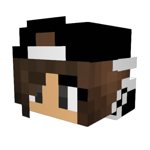 FadedShadow2612 Minecraft avatar head, 3D render