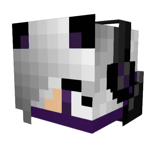 FadedSouls Minecraft avatar head, 3D render