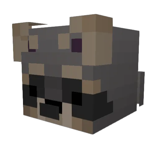 FadedSpade82 Minecraft avatar head, 3D render