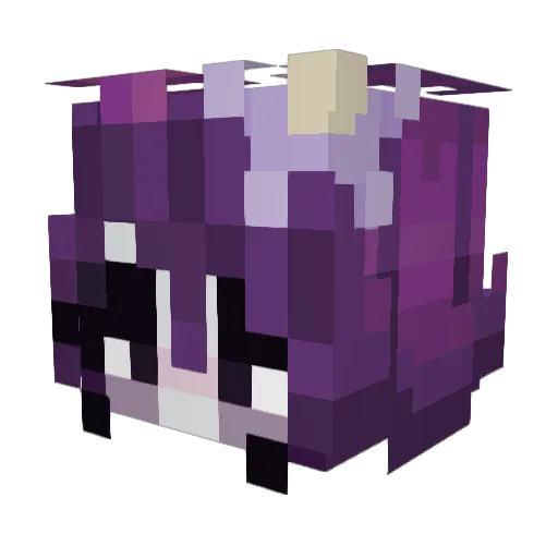 FadedThanAHoee Minecraft avatar head, 3D render