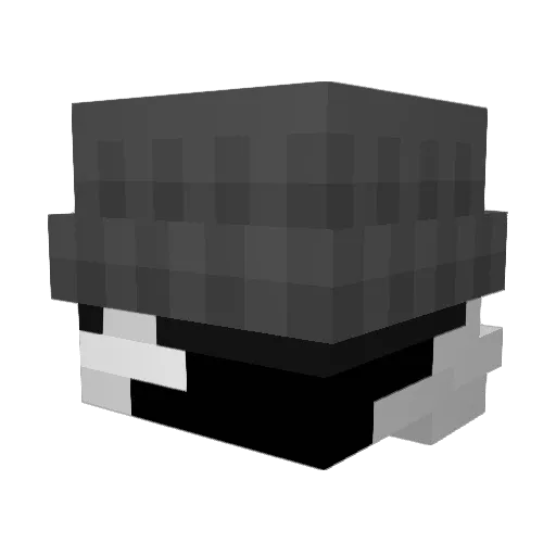 Faded_monkey554 Minecraft avatar head, 3D render