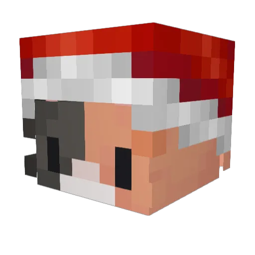 Fadedjuulia Minecraft avatar head, 3D render