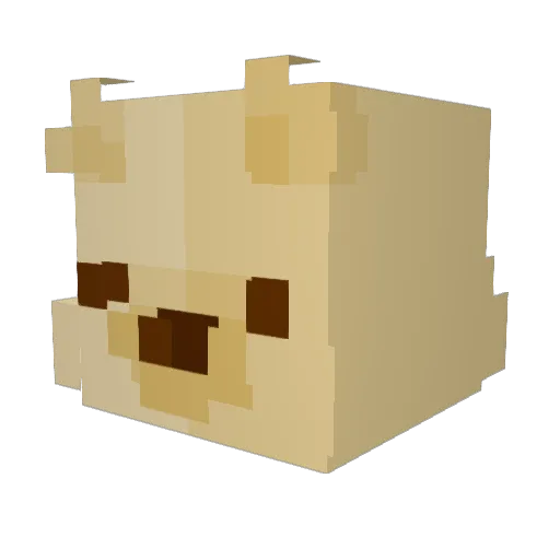 Fadedwave Minecraft avatar head, 3D render