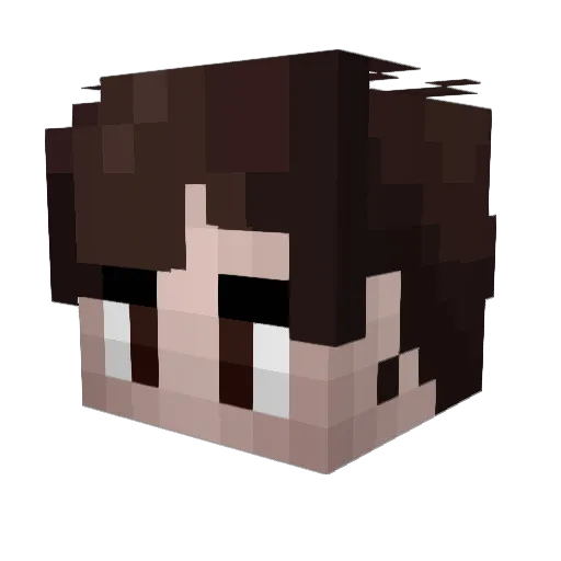 Fademaster11 Minecraft avatar head, 3D render