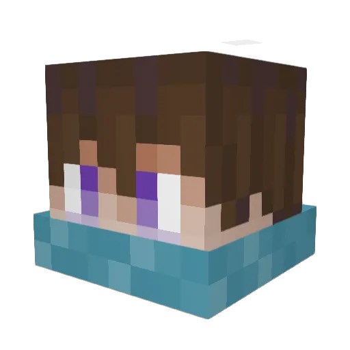 Fadgo Minecraft avatar head, 3D render
