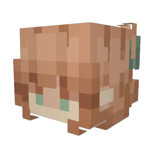 FadianWhiteS Minecraft avatar head, 3D render