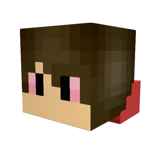 Fadze66 Minecraft avatar head, 3D render