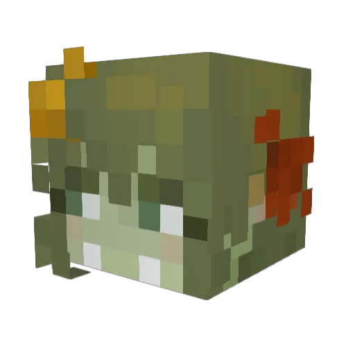 FaeToady Minecraft avatar head, 3D render