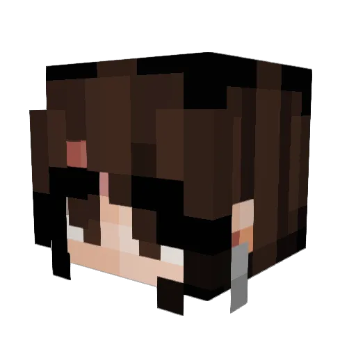 Fae_Aster Minecraft avatar head, 3D render