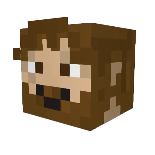 Faebix Minecraft avatar head, 3D render