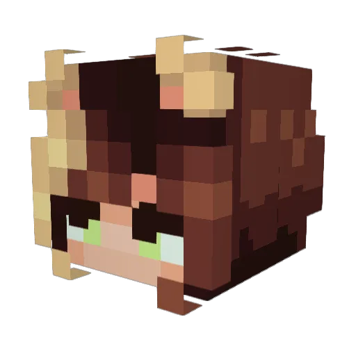 Minecraft-Avatar von Faeisfairy: Kopf als 3D-Render