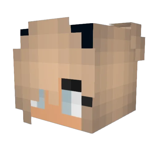 Faeleena Minecraft avatar head, 3D render