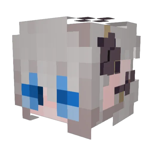 Faetalityyy Minecraft avatar head, 3D render