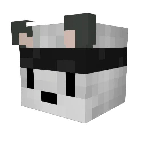 FafTheMan Minecraft avatar head, 3D render