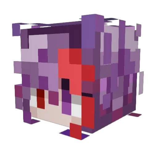 FafaShawn Minecraft avatar head, 3D render