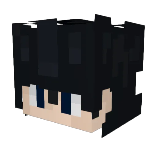 FafiX_17 Minecraft avatar head, 3D render