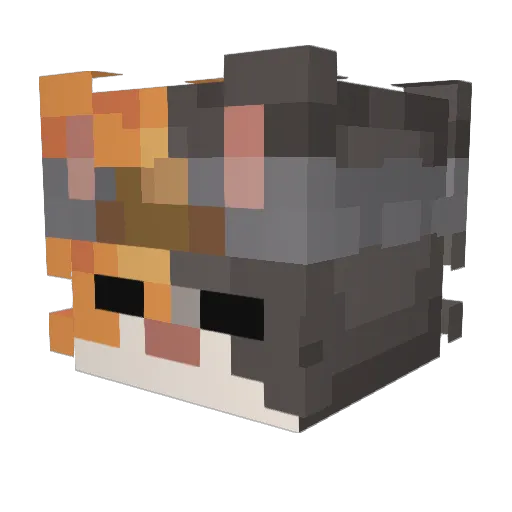 Fagott_300 Minecraft avatar head, 3D render
