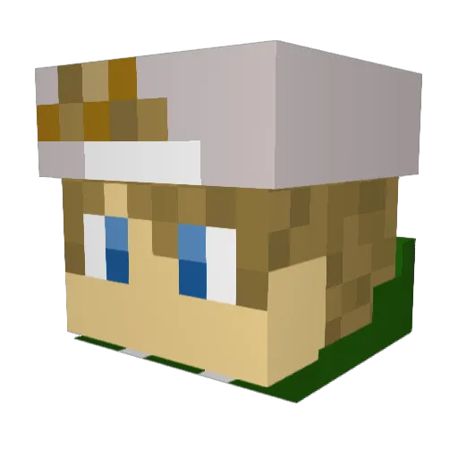 Fagott_Solo Minecraft avatar head, 3D render