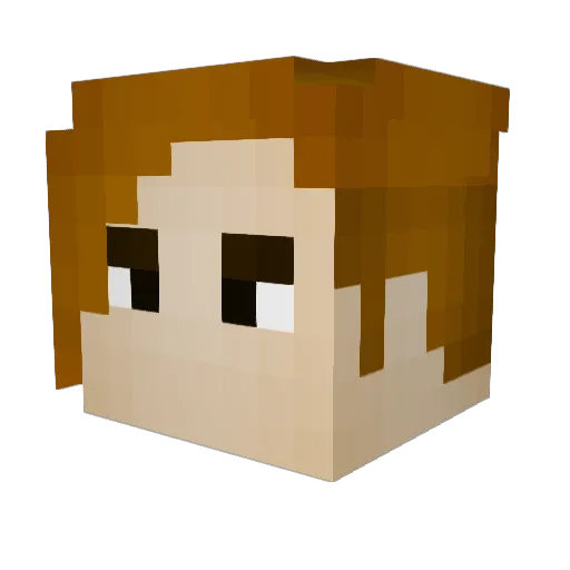 Fahri_14 Minecraft avatar head, 3D render
