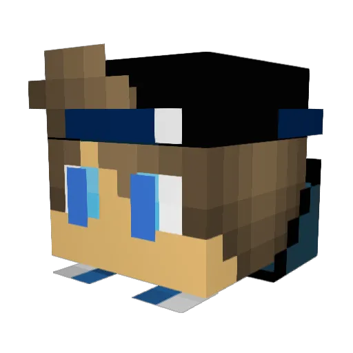 Faiiry_Rex Minecraft avatar head, 3D render