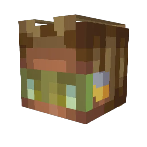 Faiisall Minecraft avatar head, 3D render