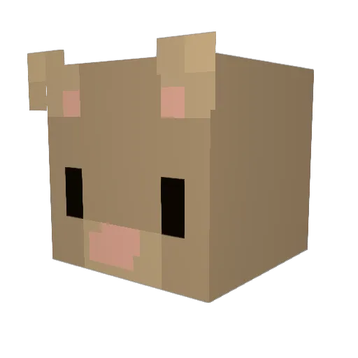 Failbait98 Minecraft avatar head, 3D render