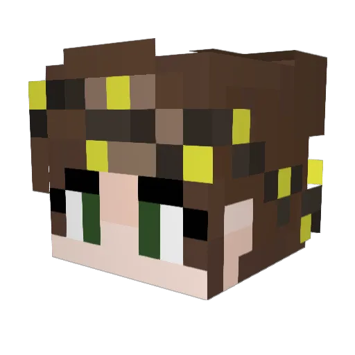 FailedTurtle Minecraft avatar head, 3D render