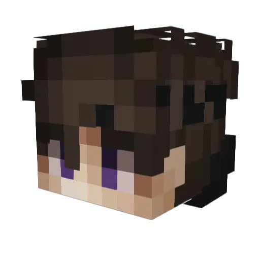 Failstar1 Minecraft avatar head, 3D render