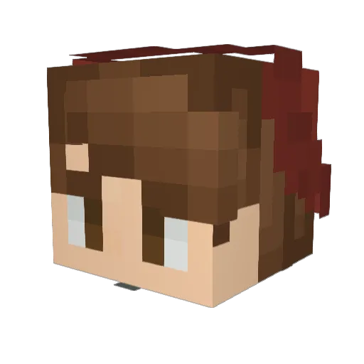 Faims Minecraft avatar head, 3D render