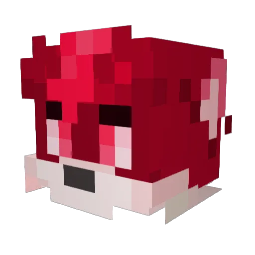 Fainruff Minecraft avatar head, 3D render