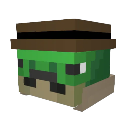 Fainted_Be_Vibin Minecraft avatar head, 3D render