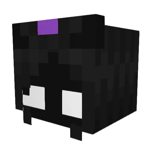 FainterSoup705 Minecraft avatar head, 3D render