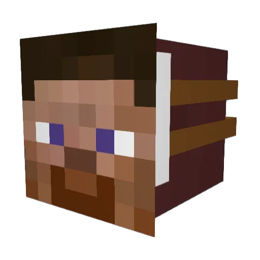FairGoldfish968 Minecraft avatar head, 3D render