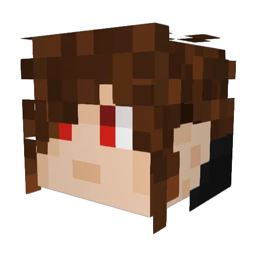 Fair_Strides Minecraft avatar head, 3D render