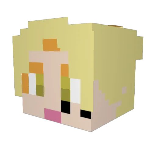 Fairchild47 Minecraft avatar head, 3D render