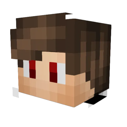 Faire314 Minecraft avatar head, 3D render