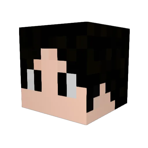 Fairlady_Zero Minecraft avatar head, 3D render