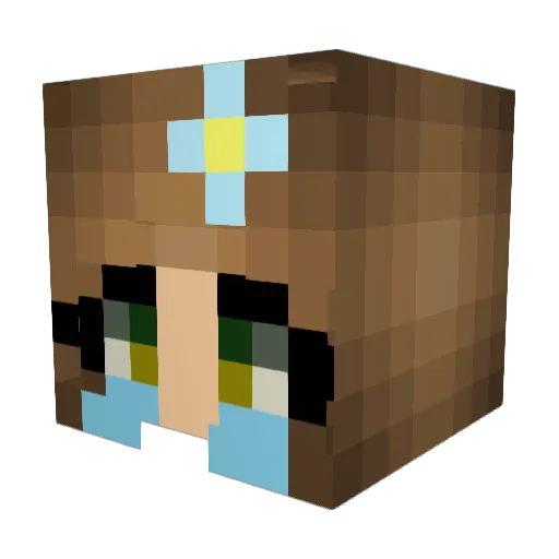 FairlyGood Minecraft avatar head, 3D render